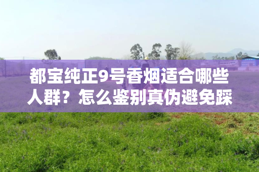 都宝纯正9号香烟适合哪些人群？怎么鉴别真伪避免踩坑？